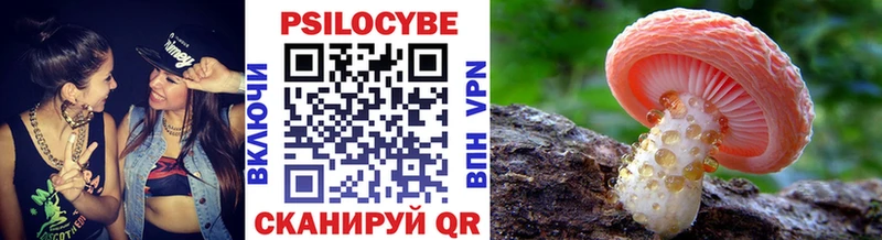 Купить закладки  Кропоткин  Псилоцибиновые грибы MAGIC MUSHROOMS 